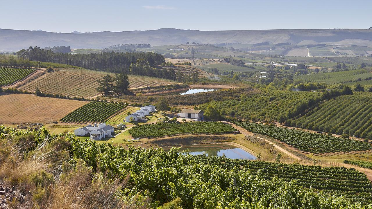 Paul Wallace Wines & Cottages エルギン エクステリア 写真