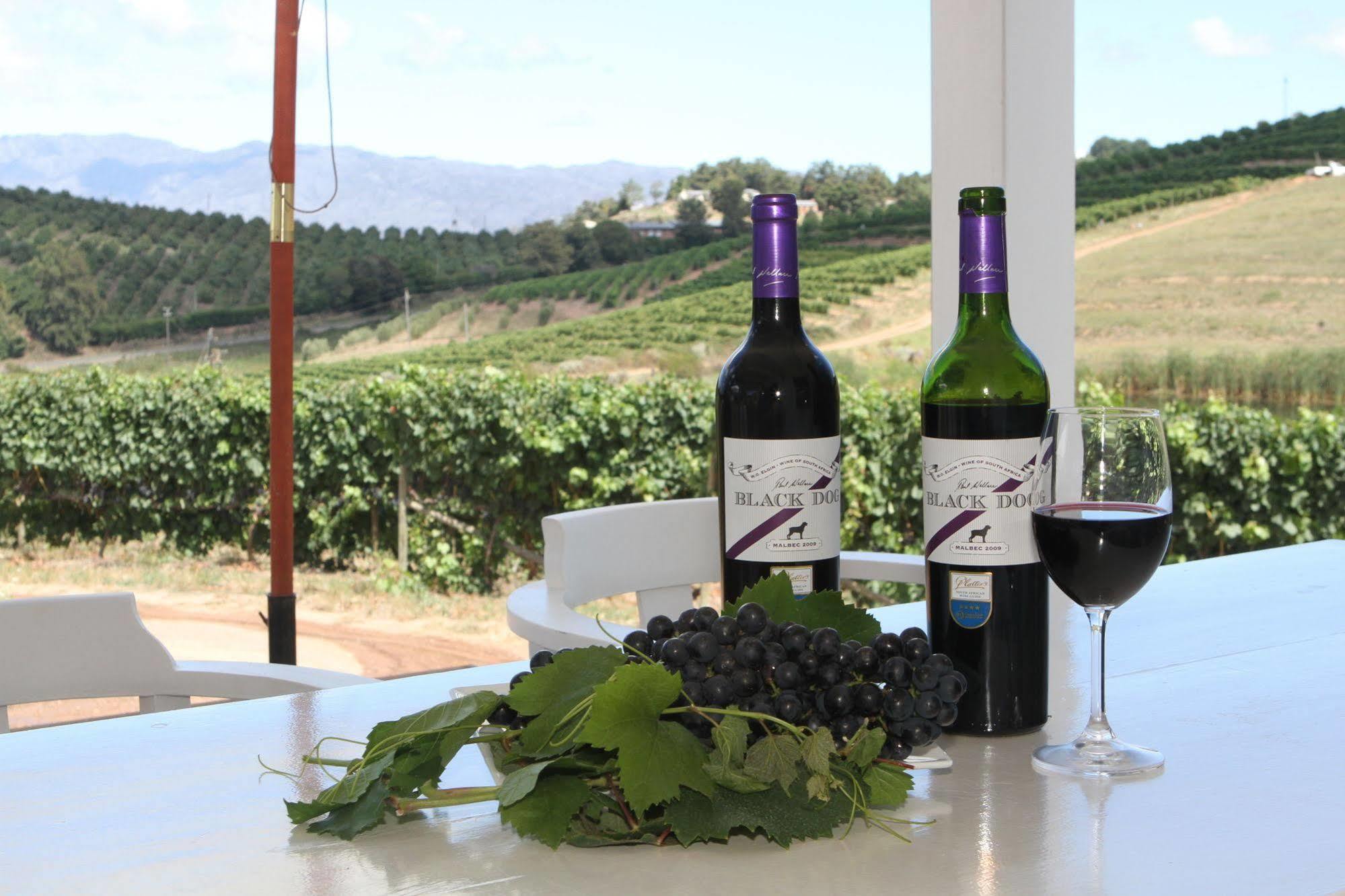 Paul Wallace Wines & Cottages エルギン エクステリア 写真