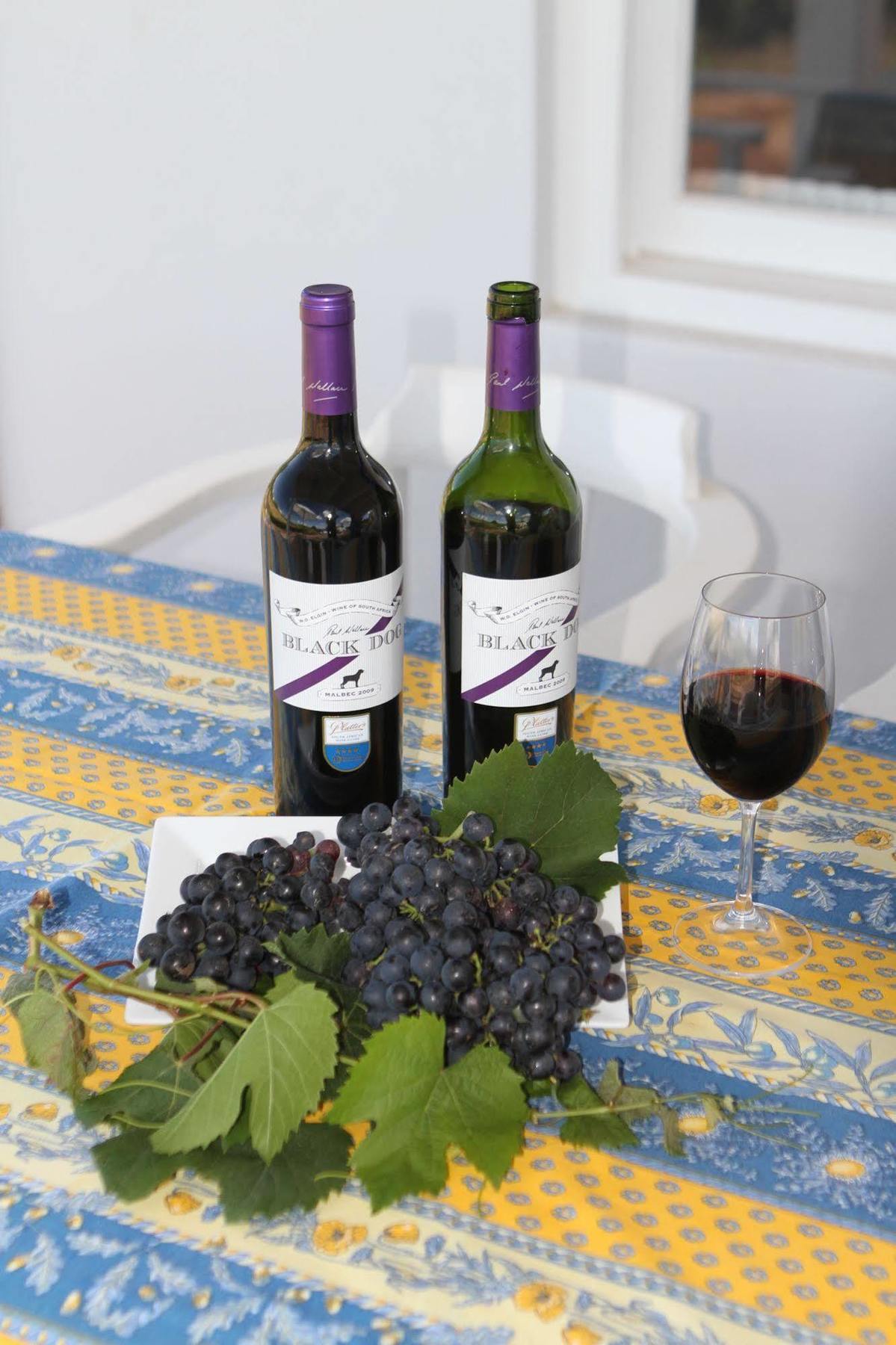 Paul Wallace Wines & Cottages エルギン エクステリア 写真